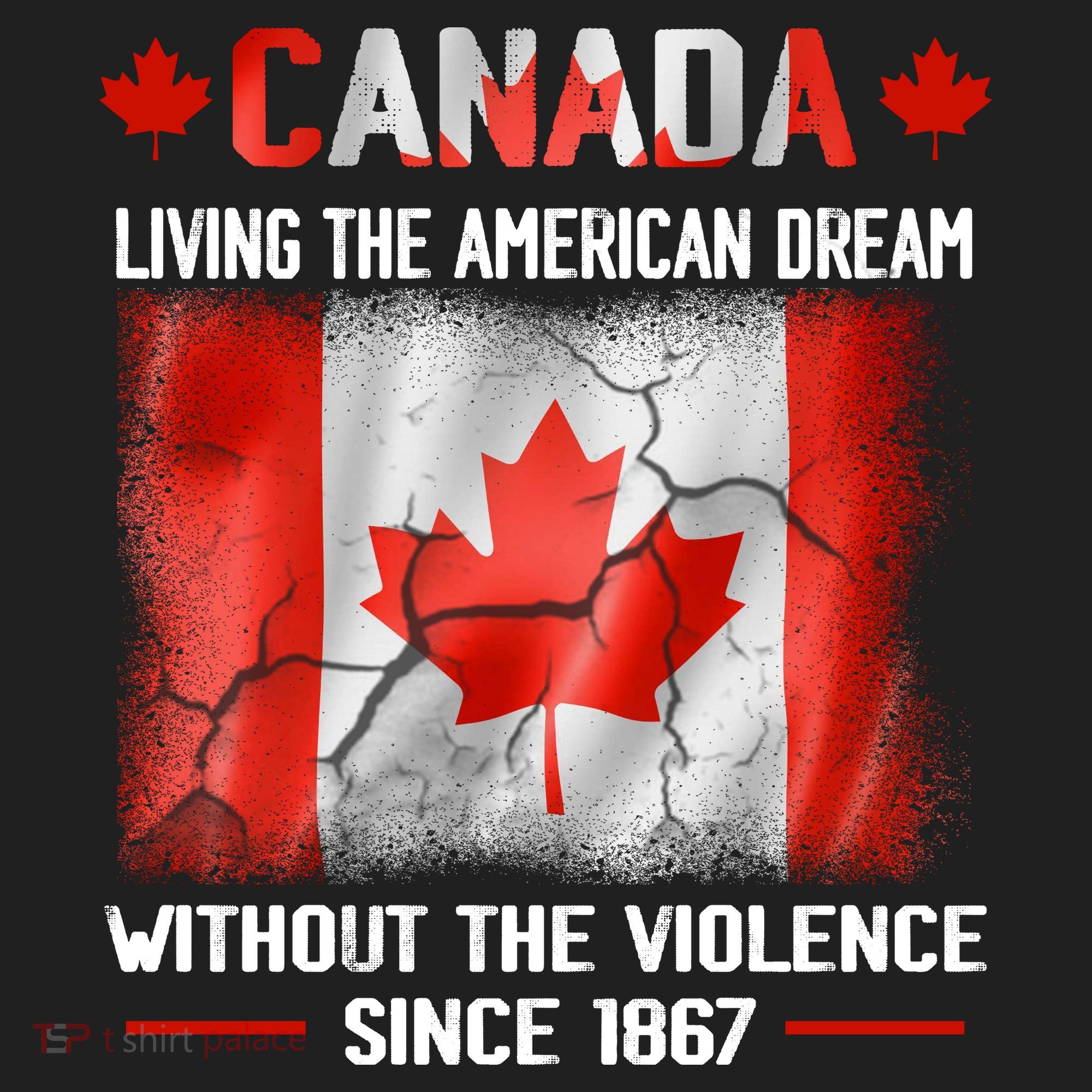 Canada Day Tee Canada Living The American Dream Without The Violence Since 1867 Beanie