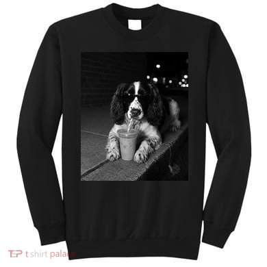 Cool Dog with Sunglasses and Iced Coffee Vibes Sweatshirt