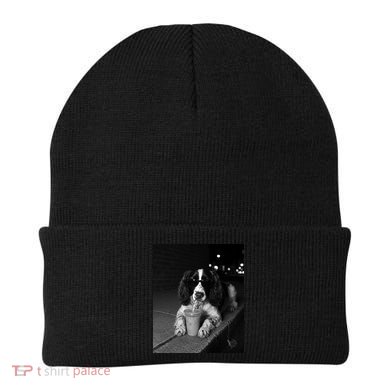 Cool Dog with Sunglasses and Iced Coffee Vibes Beanie