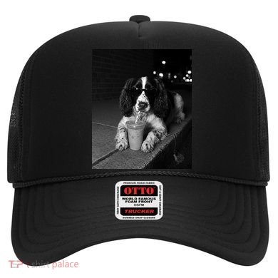 Cool Dog with Sunglasses and Iced Coffee Vibes Hat