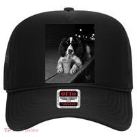 Cool Dog with Sunglasses and Iced Coffee Vibes Hat thumb 0