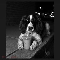 Cool Dog with Sunglasses and Iced Coffee Vibes Kids Sweatshirt thumb 2