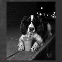 Cool Dog with Sunglasses and Iced Coffee Vibes Kids T-Shirt thumb 4