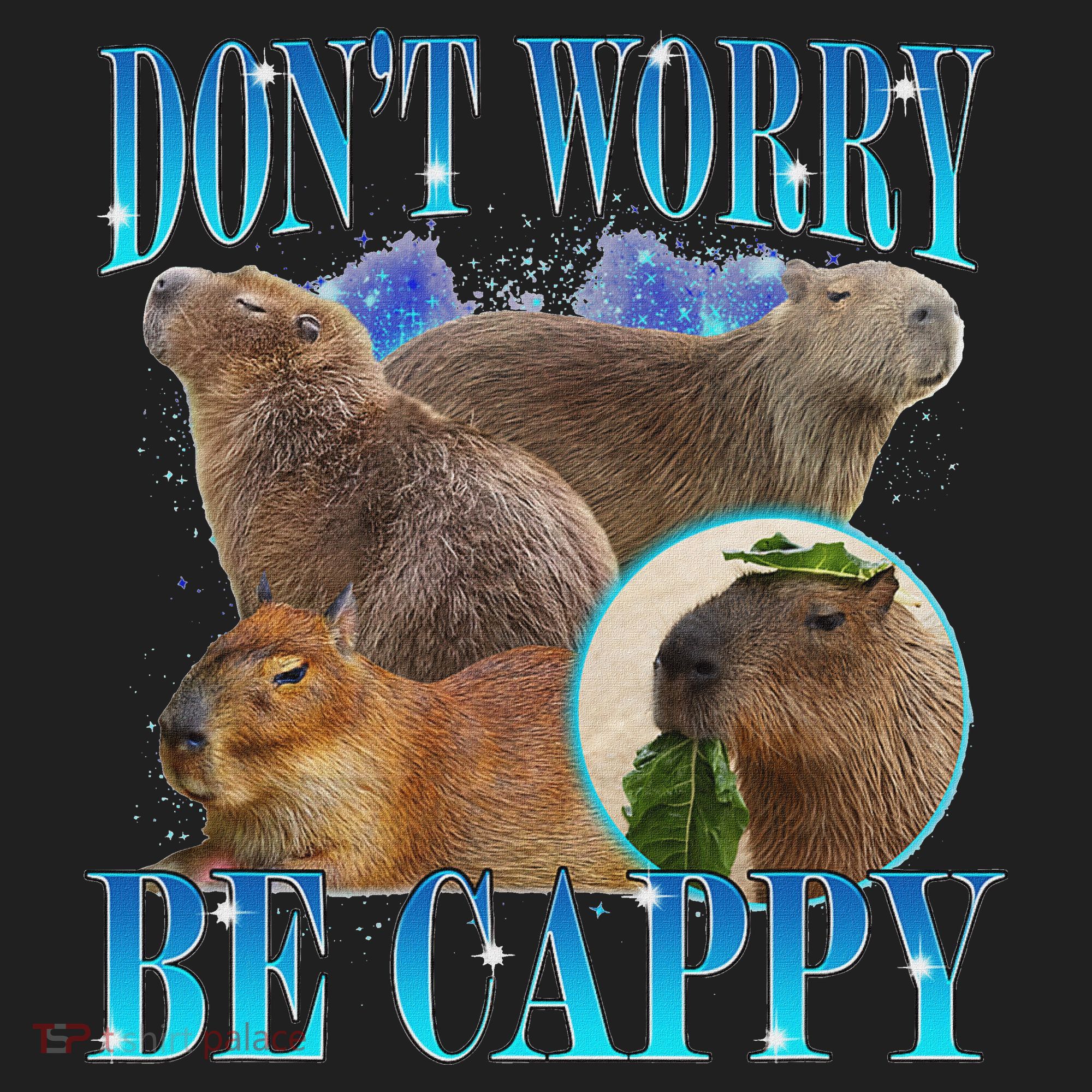 Capybara Dont Worry Be Cappy Funny Animal Capybara Meme Adult Drive Performance Visor
