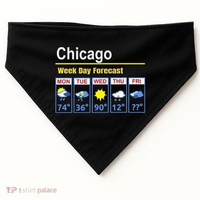 Chicago Erratic 5 Day Weather Forecast USA-Made Doggie Bandana