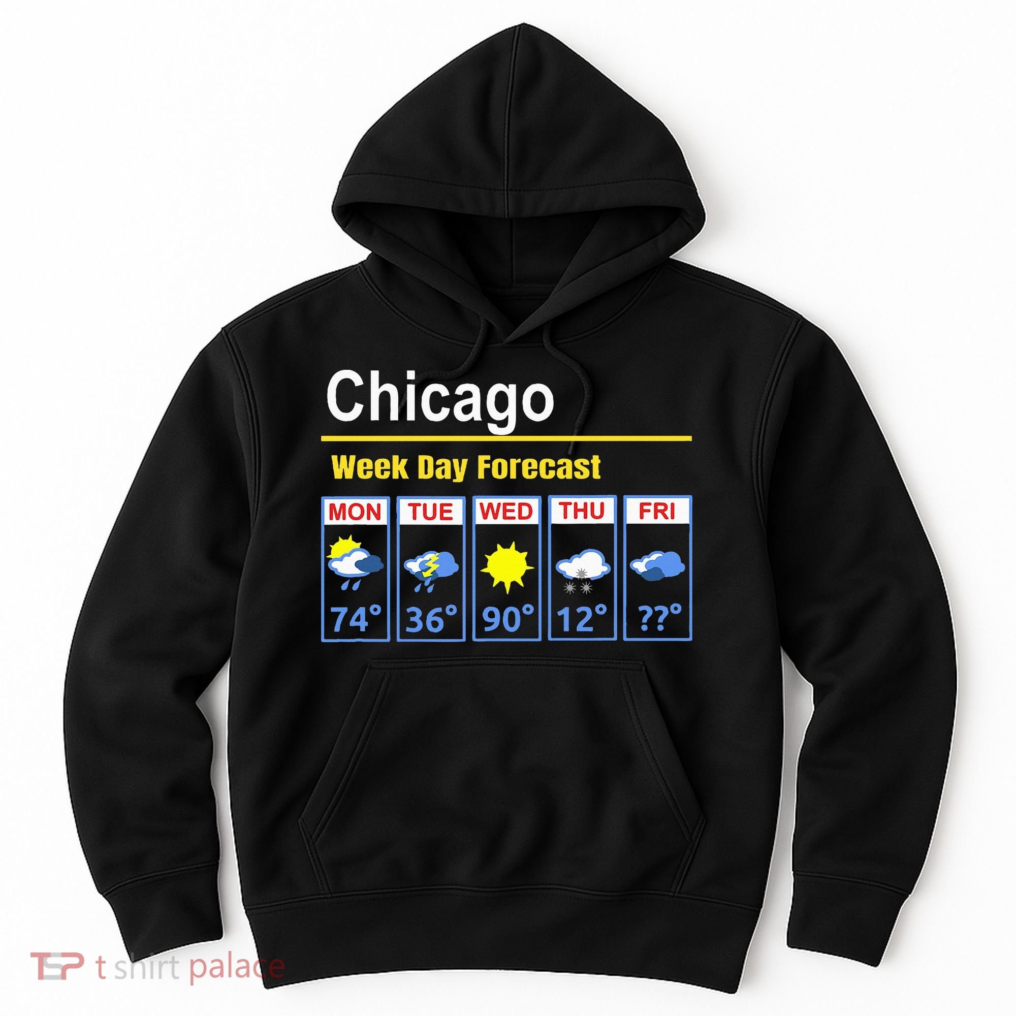 Chicago Erratic 5 Day Weather Forecast Hoodie