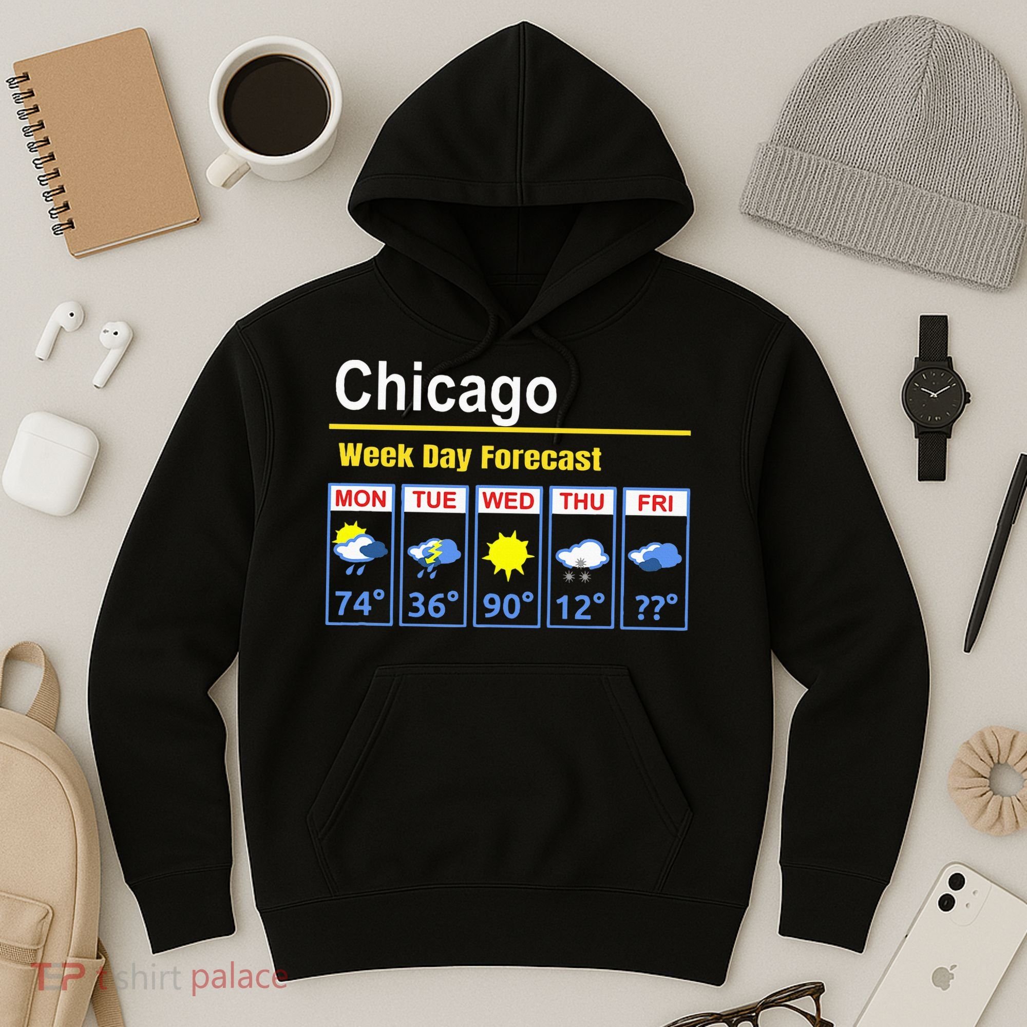 Chicago Erratic 5 Day Weather Forecast Hoodie