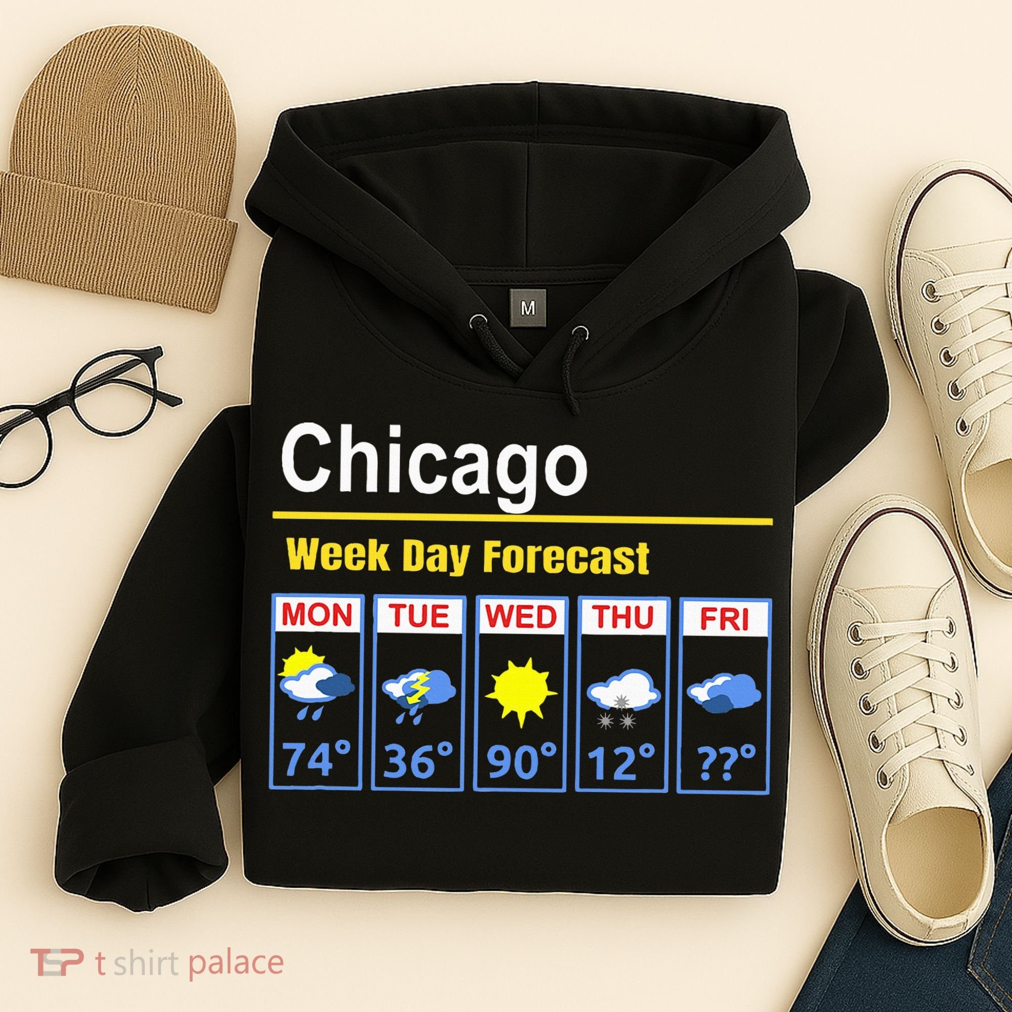 Chicago Erratic 5 Day Weather Forecast Hoodie