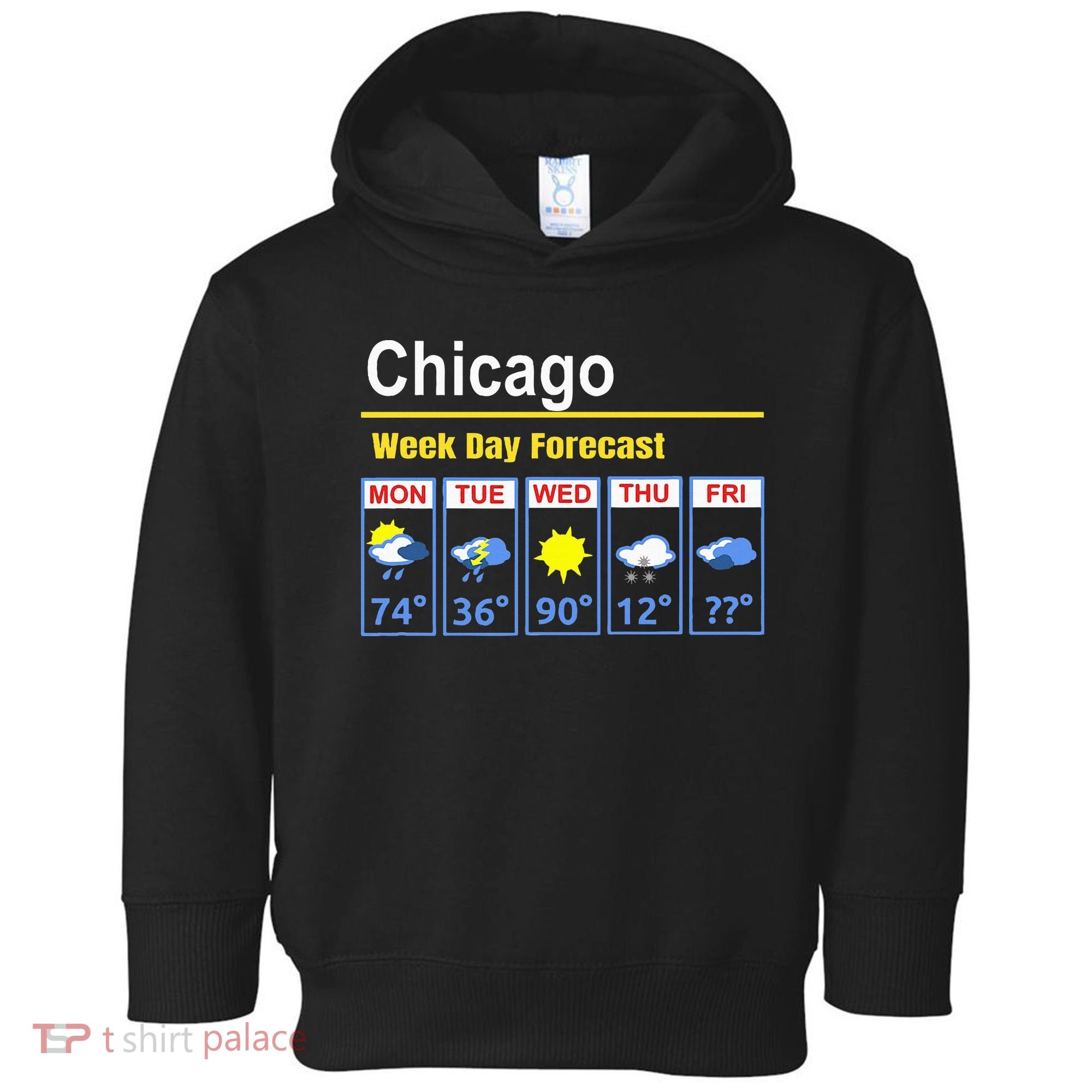 Chicago Erratic 5 Day Weather Forecast Toddler Hoodie