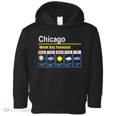 Toddler Hoodie