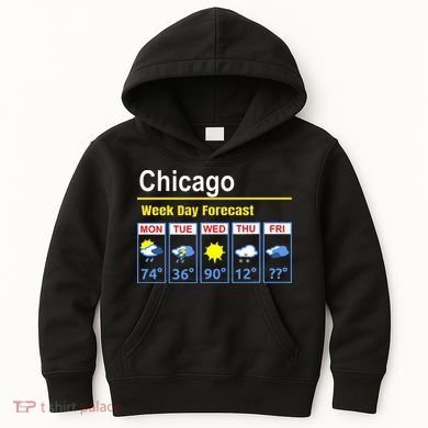 Chicago Erratic 5 Day Weather Forecast Kids Hoodie