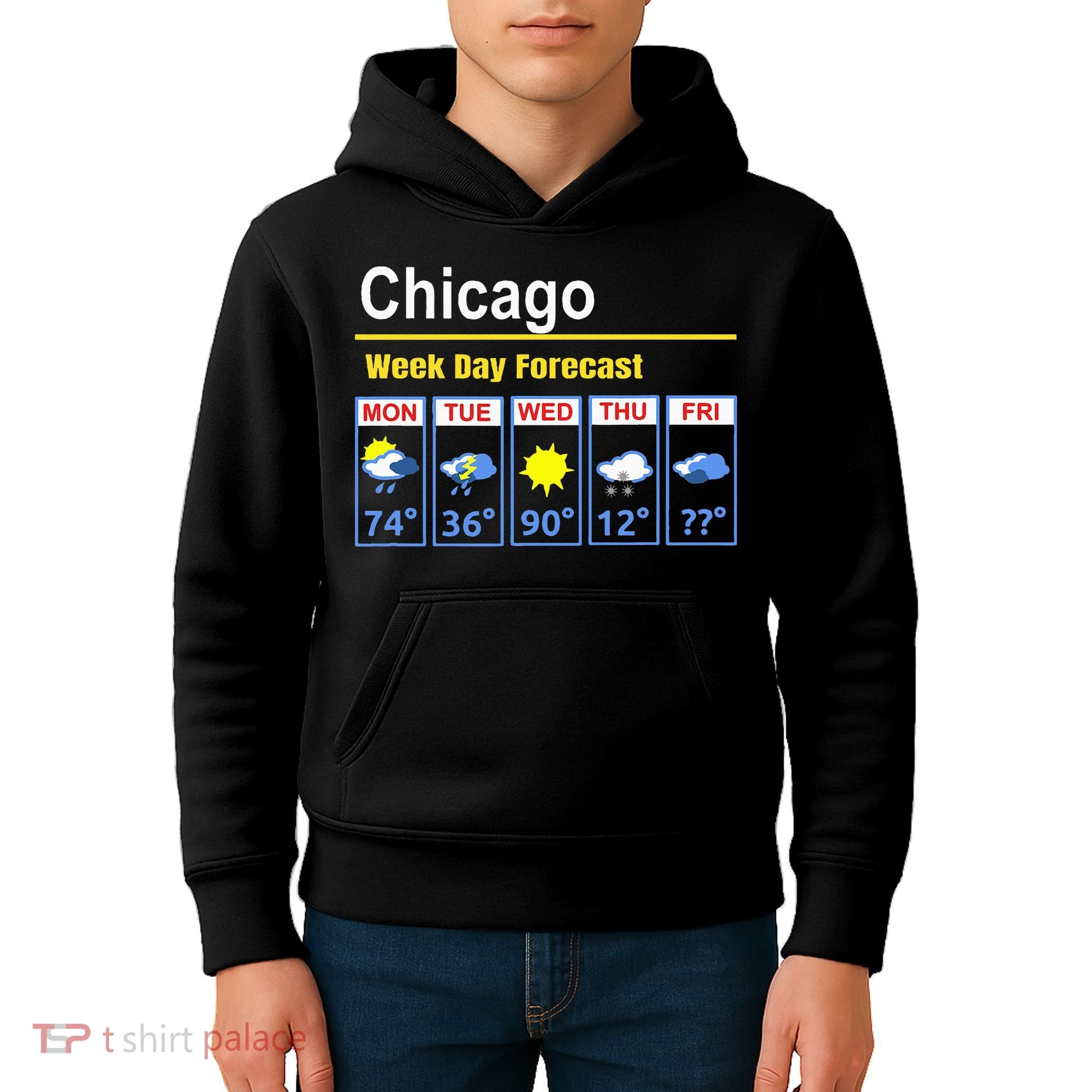 Chicago Erratic 5 Day Weather Forecast Kids Hoodie