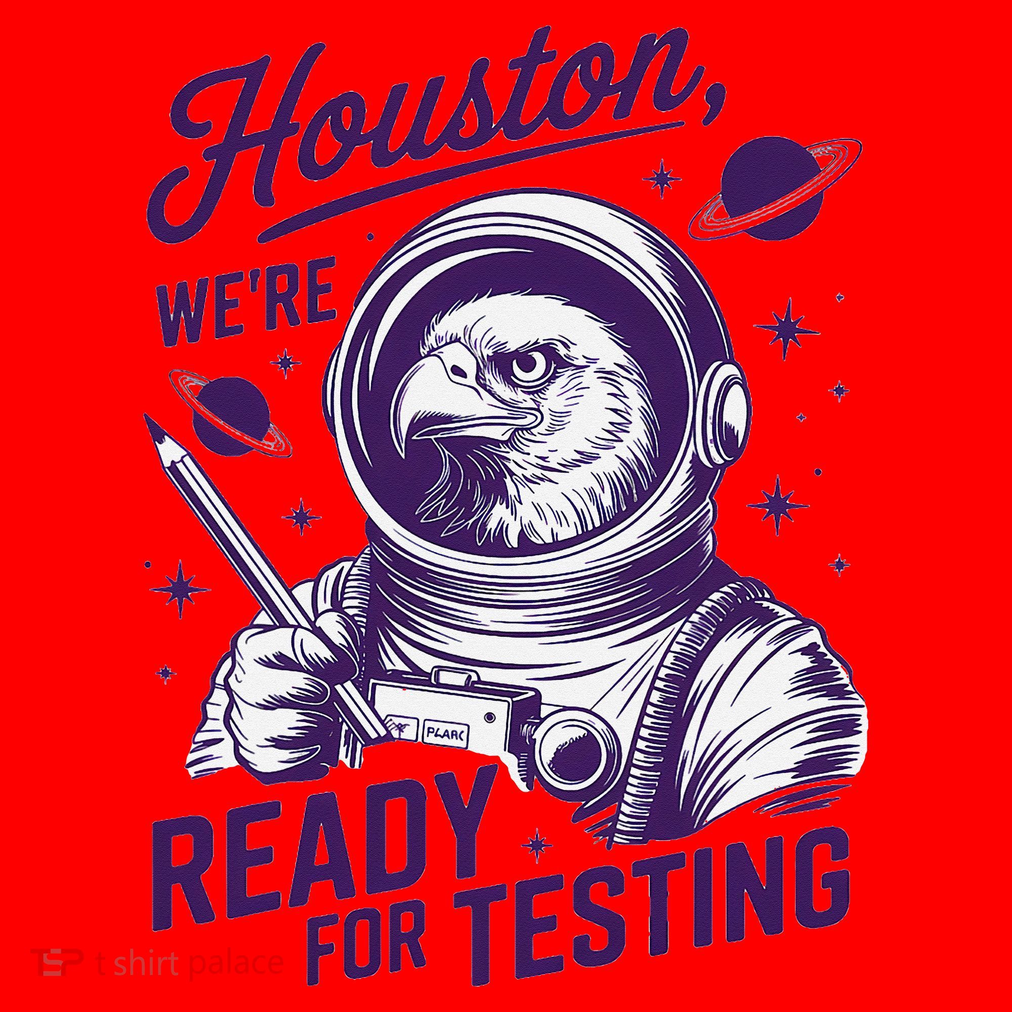 Cool Eagle Astronaut Houston Were Ready For Testing Teacher Santa Hat