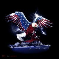 Cyborg Eagle Ornament thumb 1