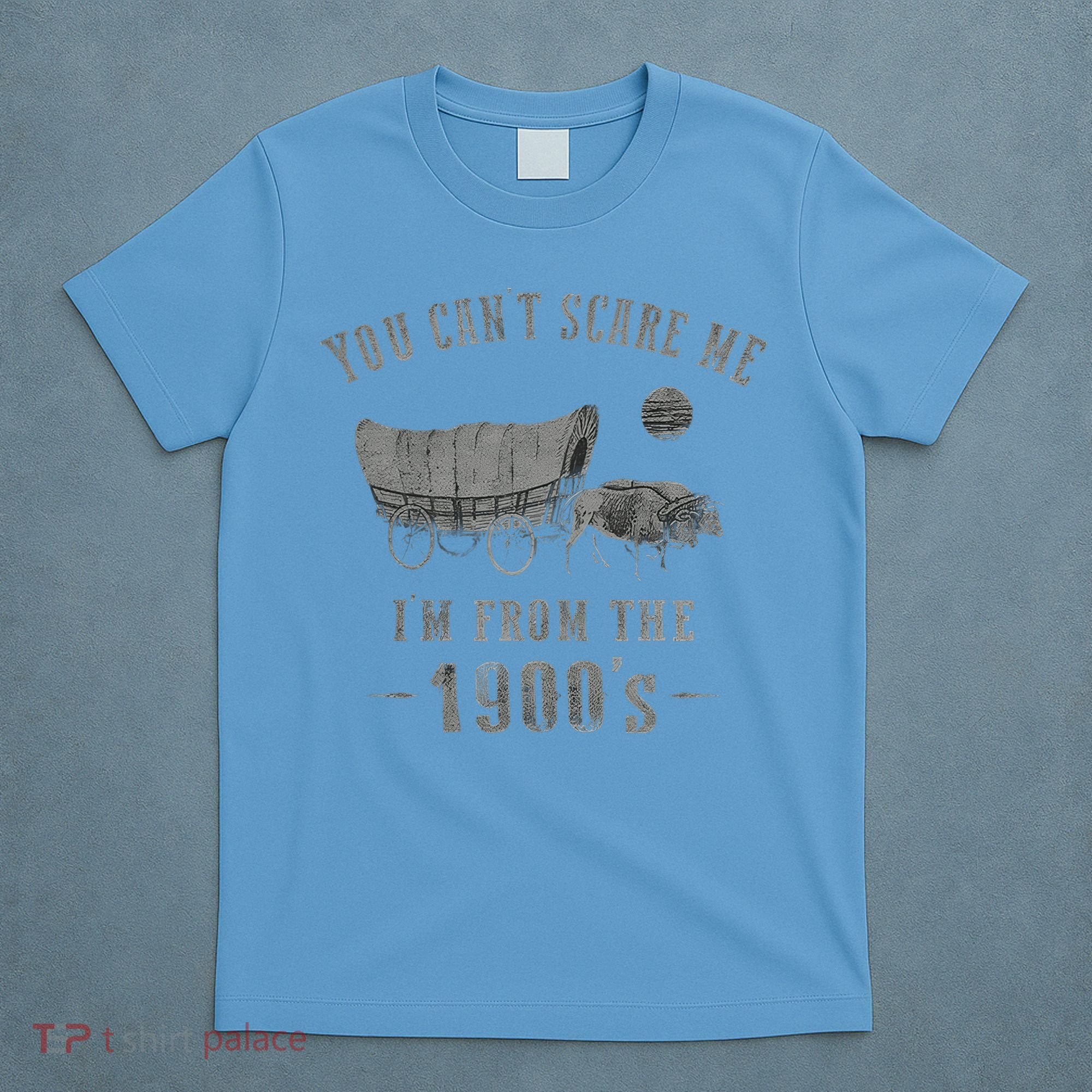 Cornhole Excuses T-Shirt