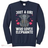 Cool Elephant For Wo Girl African Elephant Lover Zoology Sweatshirt thumb 0