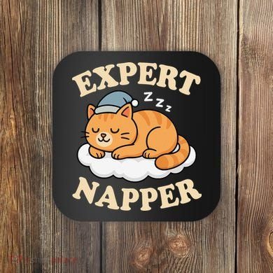 Cat Expert Napper Funny Kitty Sarcasm Humor Cat Saying Coaster