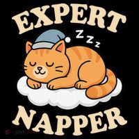 Cat Expert Napper Funny Kitty Sarcasm Humor Cat Saying Women's Hoodie thumb 2
