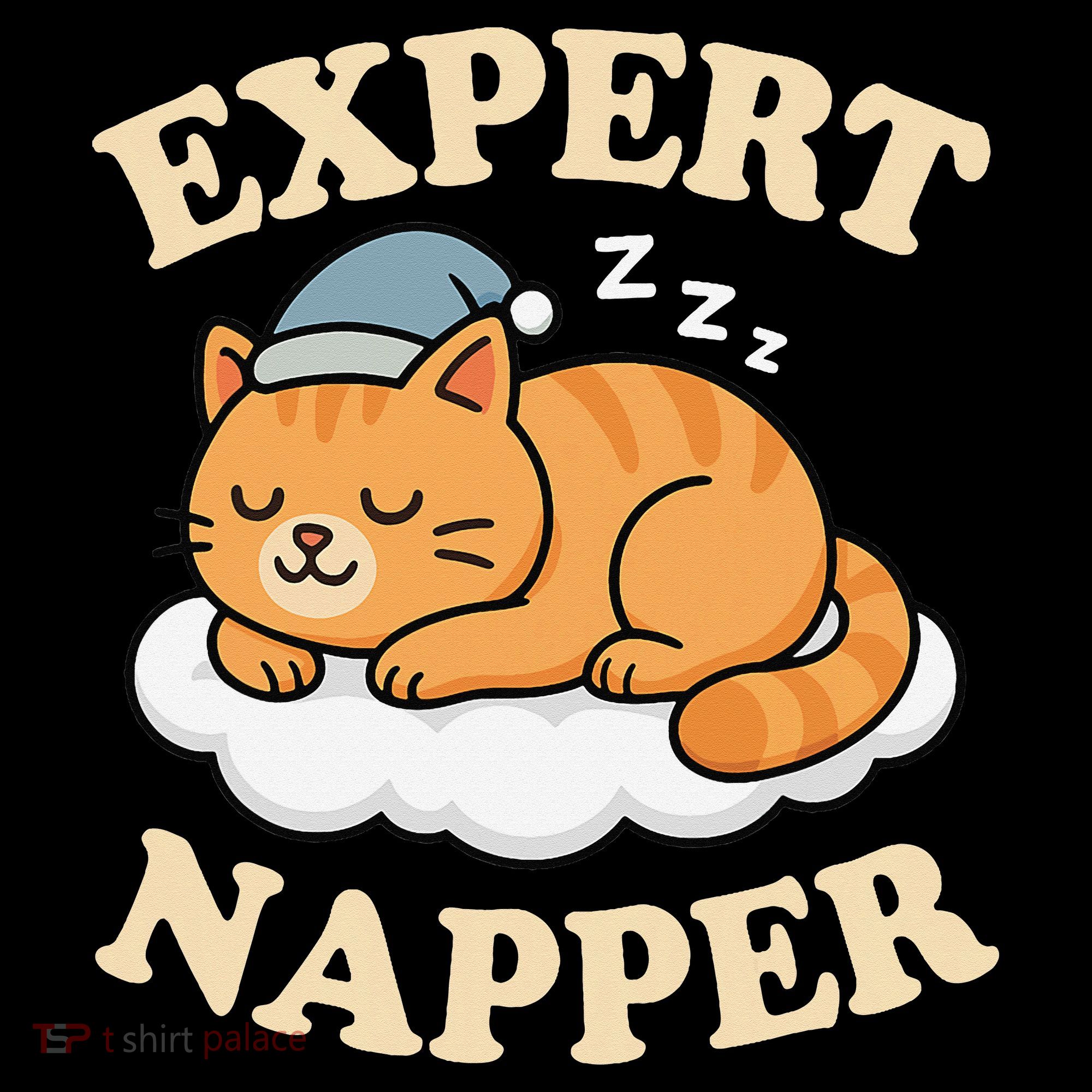 Cat Expert Napper Funny Kitty Sarcasm Humor Cat Saying Women's Hoodie