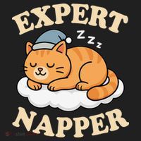 Cat Expert Napper Funny Kitty Sarcasm Humor Cat Saying Tumbler thumb 3