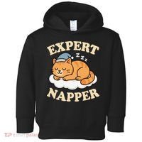 Cat Expert Napper Funny Kitty Sarcasm Humor Cat Saying Toddler Hoodie thumb 0