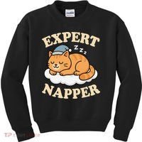 Cat Expert Napper Funny Kitty Sarcasm Humor Cat Saying Kids Sweatshirt thumb 0