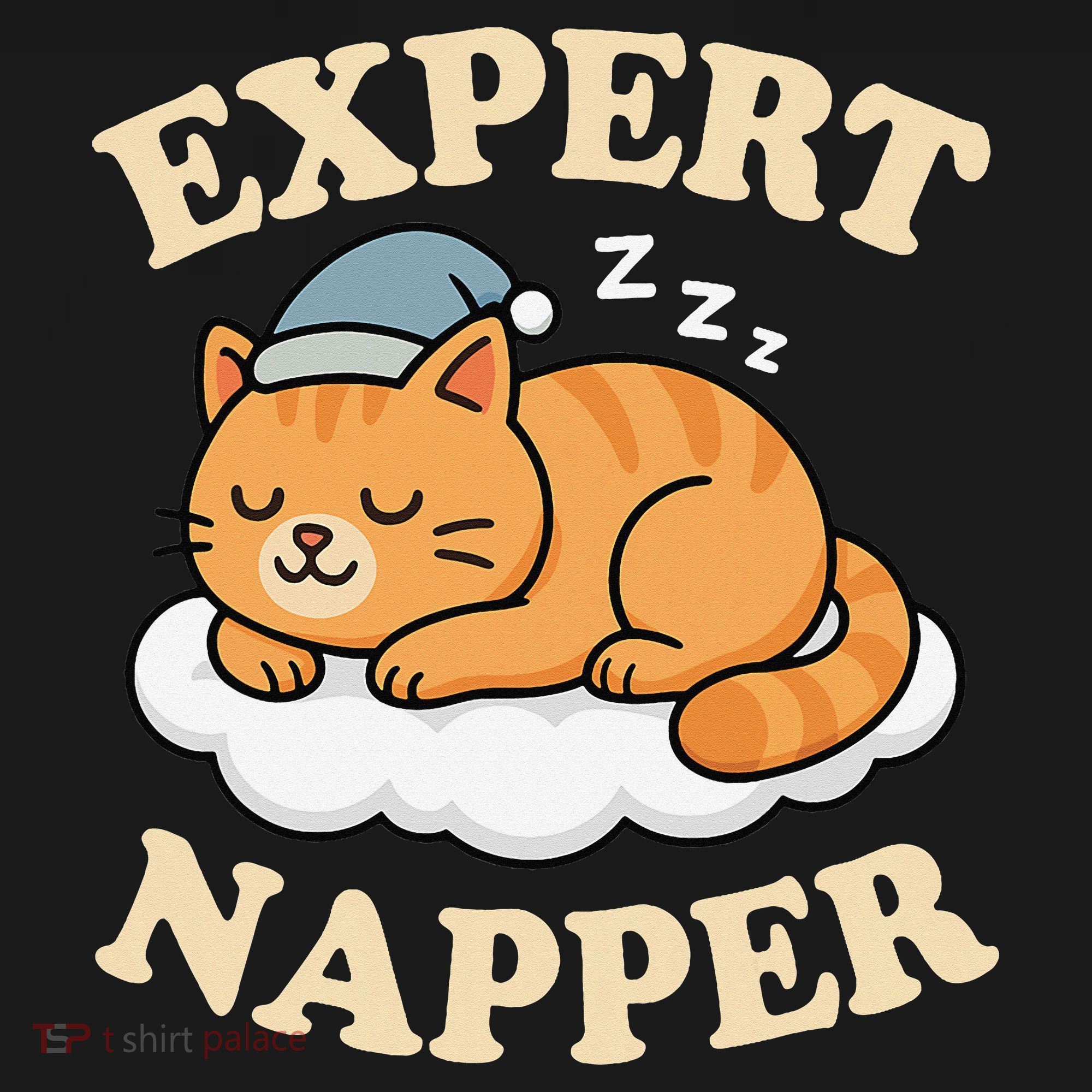 Cat Expert Napper Funny Kitty Sarcasm Humor Cat Saying Kids Sweatshirt