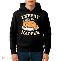 Cat Expert Napper Funny Kitty Sarcasm Humor Cat Saying Kids Hoodie thumb 4
