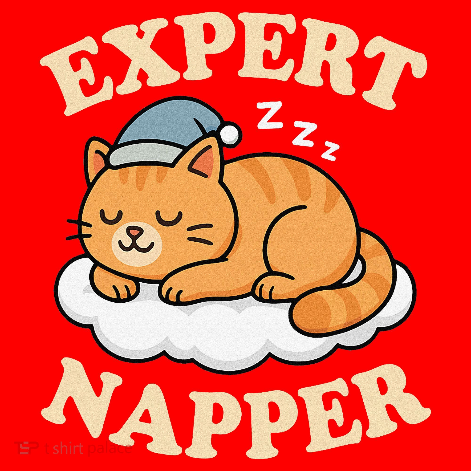 Cat Expert Napper Funny Kitty Sarcasm Humor Cat Saying Santa Hat