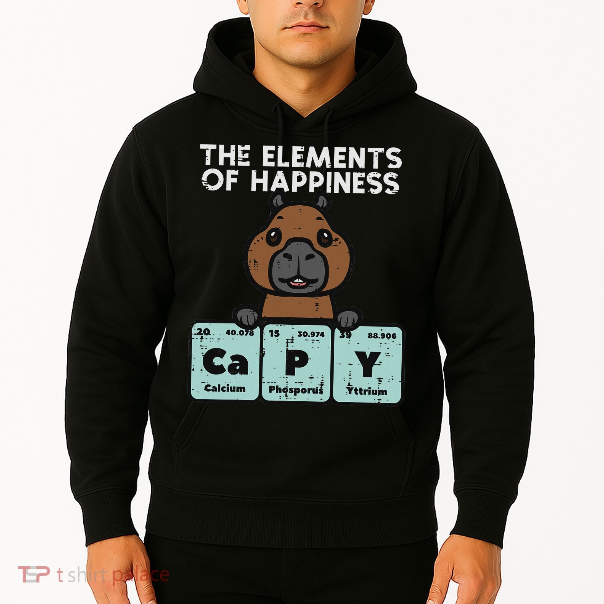 Capybara Elements Of Happiness Capy Science Women Hoodie