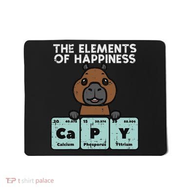 Capybara Elements Of Happiness Capy Science Women Mousepad