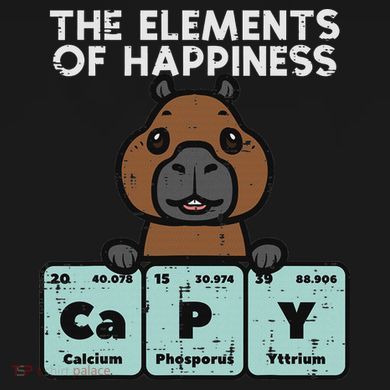 Capybara Elements Of Happiness Capy Science Women Baby Bodysuit