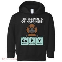 Capybara Elements Of Happiness Capy Science Women Toddler Hoodie thumb 0