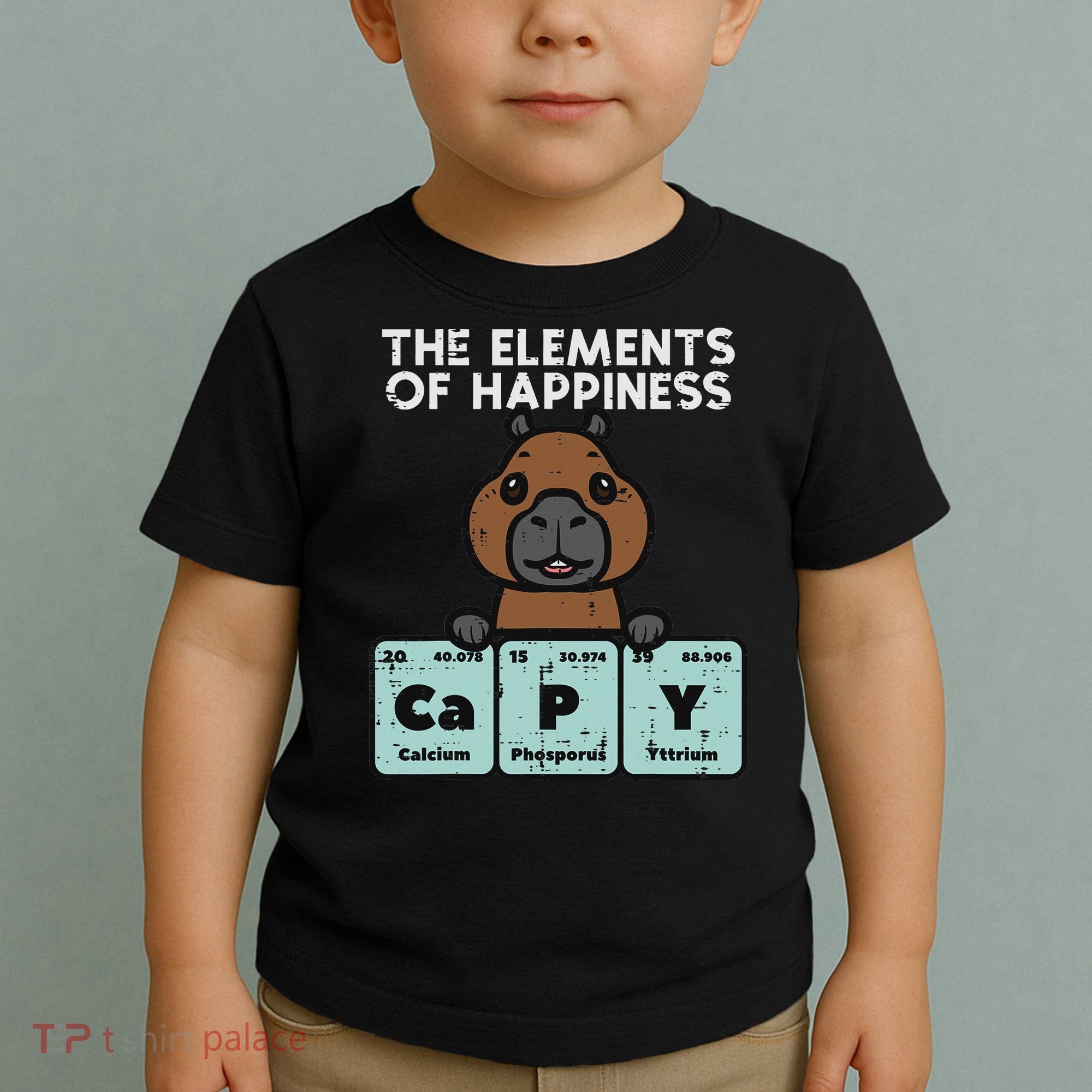 Capybara Elements Of Happiness Capy Science Women Toddler T-Shirt