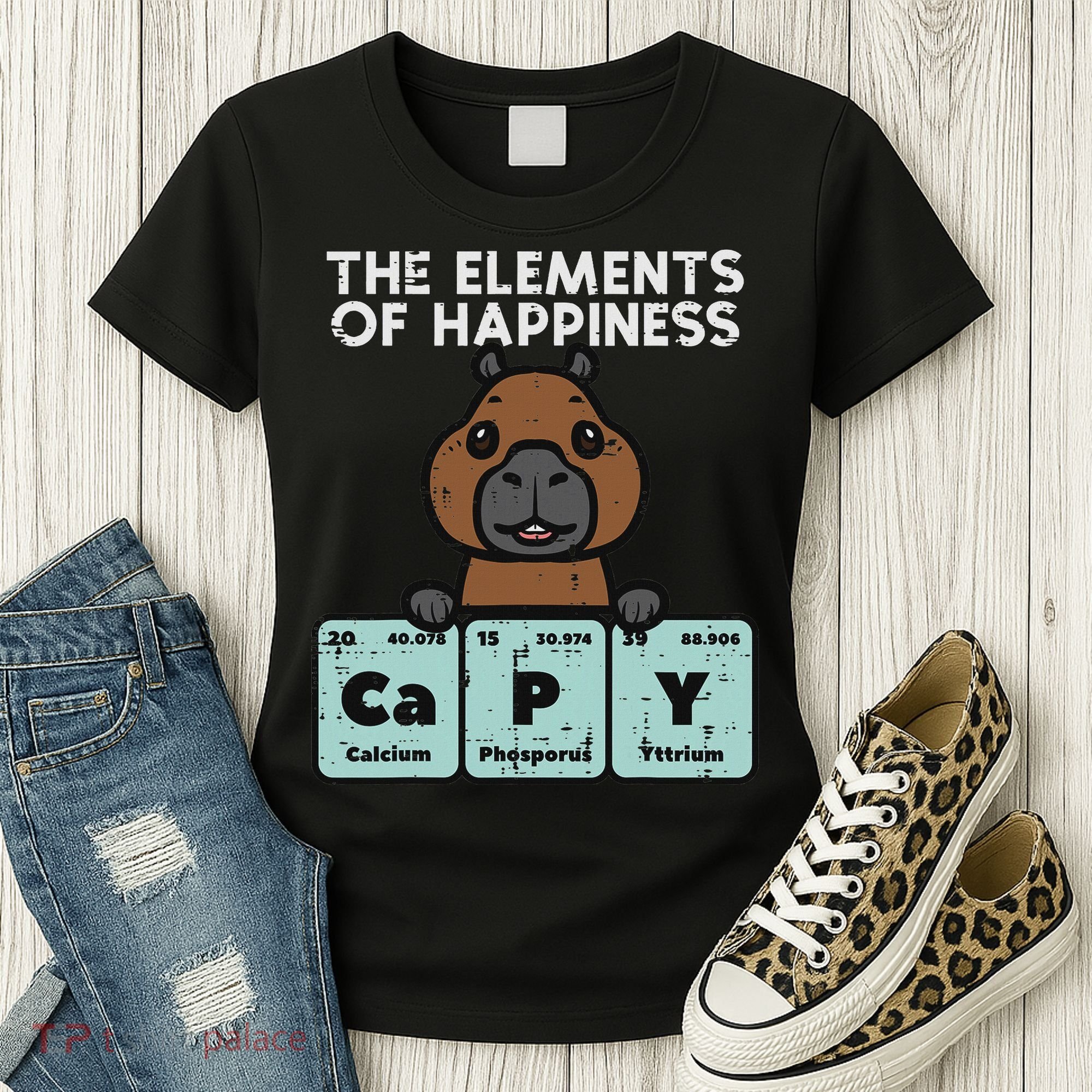 Capybara Elements Of Happiness Capy Science Women Women's T-Shirt