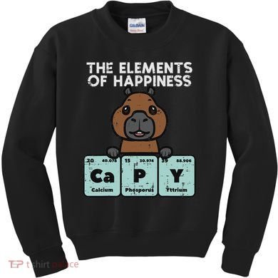 Capybara Elements Of Happiness Capy Science Women Kids Sweatshirt
