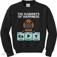 Capybara Elements Of Happiness Capy Science Women Kids Sweatshirt thumb 0