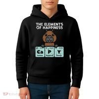 Capybara Elements Of Happiness Capy Science Women Kids Hoodie thumb 4