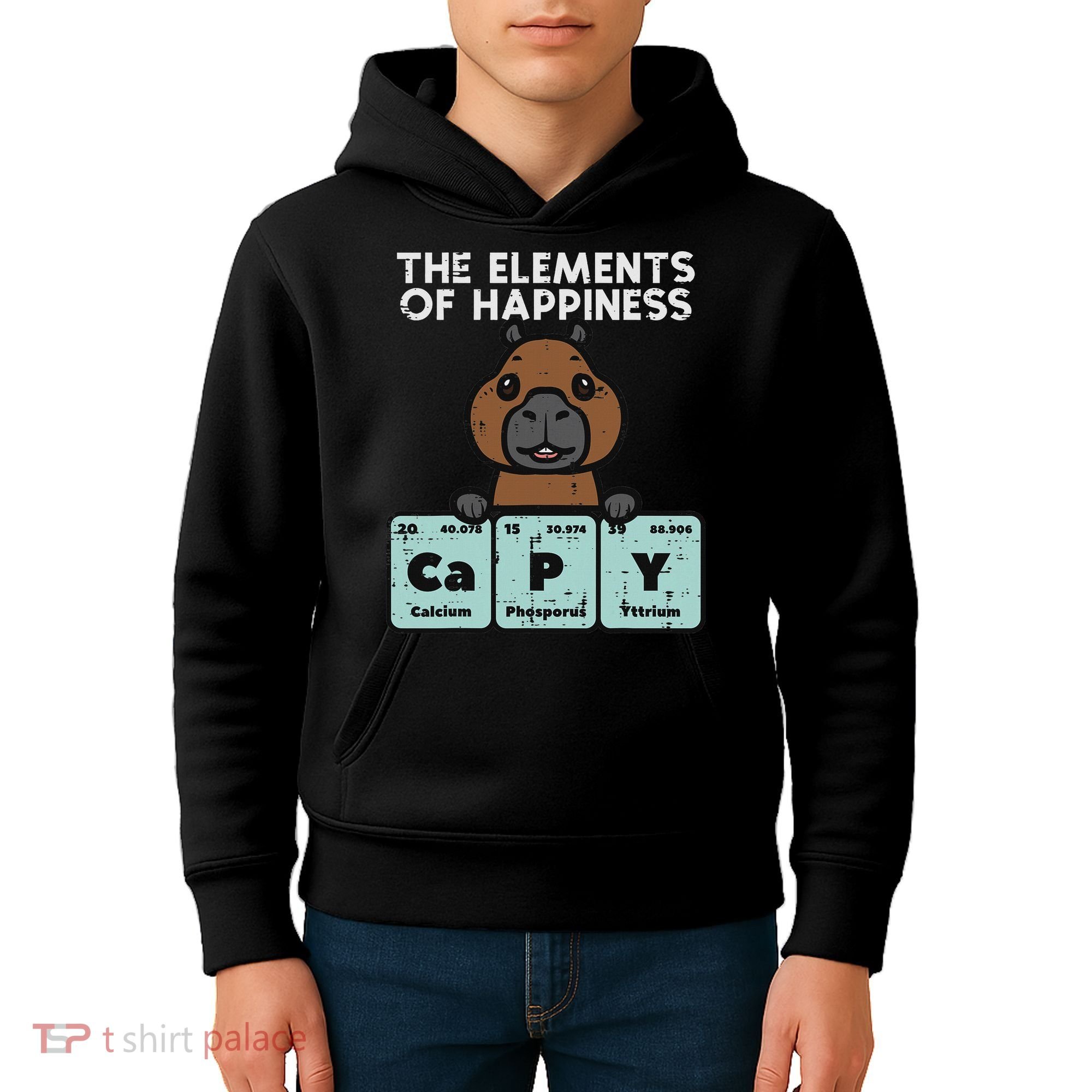 Capybara Elements Of Happiness Capy Science Women Kids Hoodie
