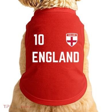 Cool England Soccer Jersey 10 Doggie Tank