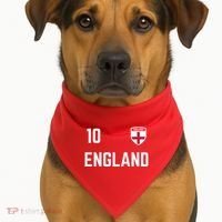 Cool England Soccer Jersey 10 USA-Made Doggie Bandana thumb 1