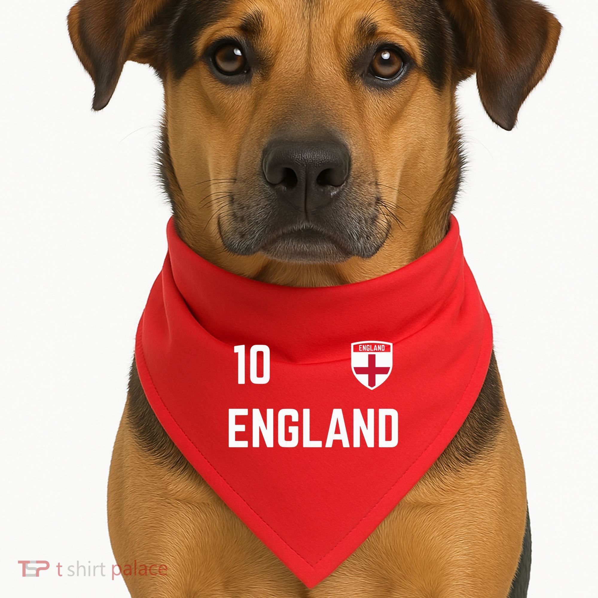 Cool England Soccer Jersey 10 USA-Made Doggie Bandana