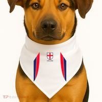 Cool England Soccer Jersey USA-Made Doggie Bandana thumb 1