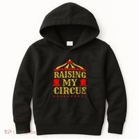 Circus Event Staff Carnival Lover Ringmaster Ringleader Gift Kids Hoodie thumb 0