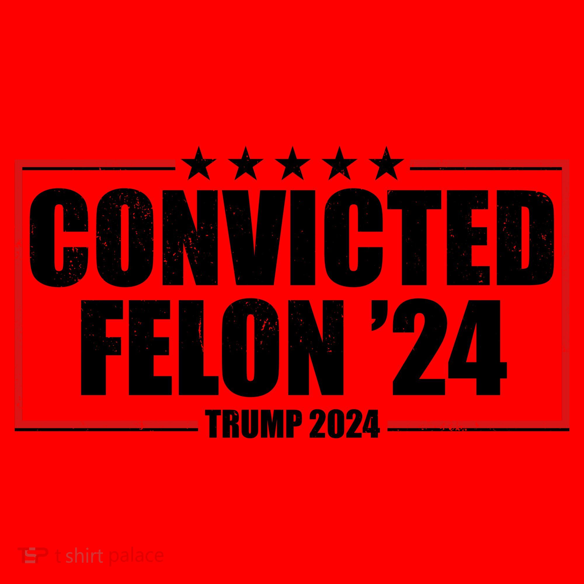 Convicted Felon 24 Trump 2024 Santa Hat