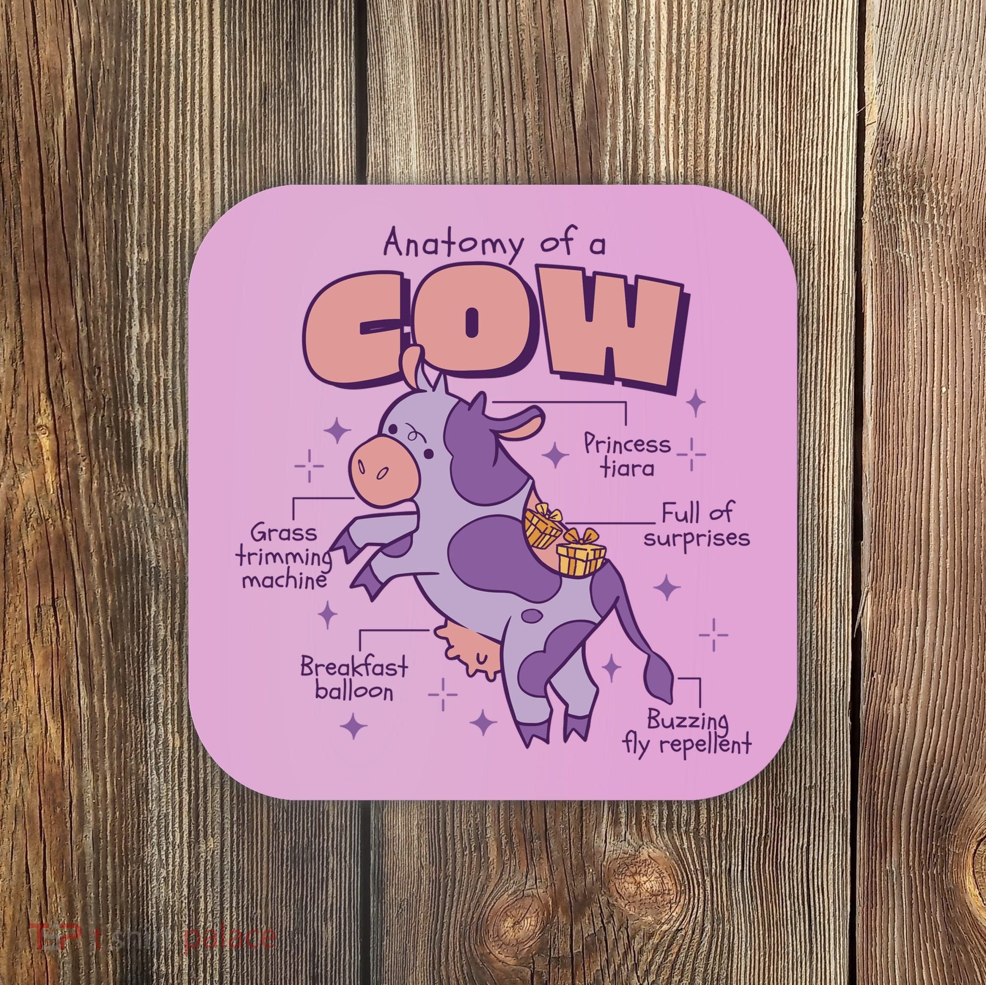 Cow Funny Anatomy Coaster