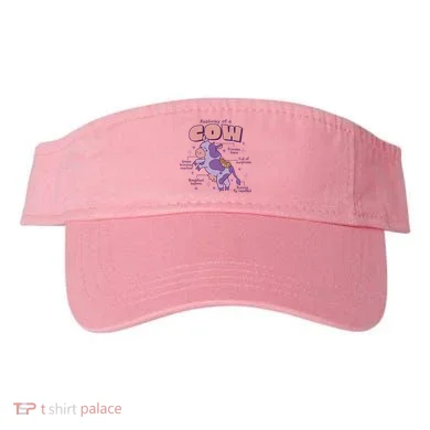 Visor