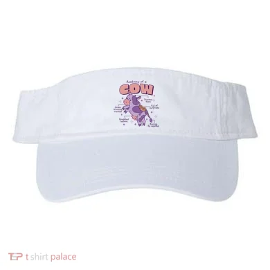 Visor