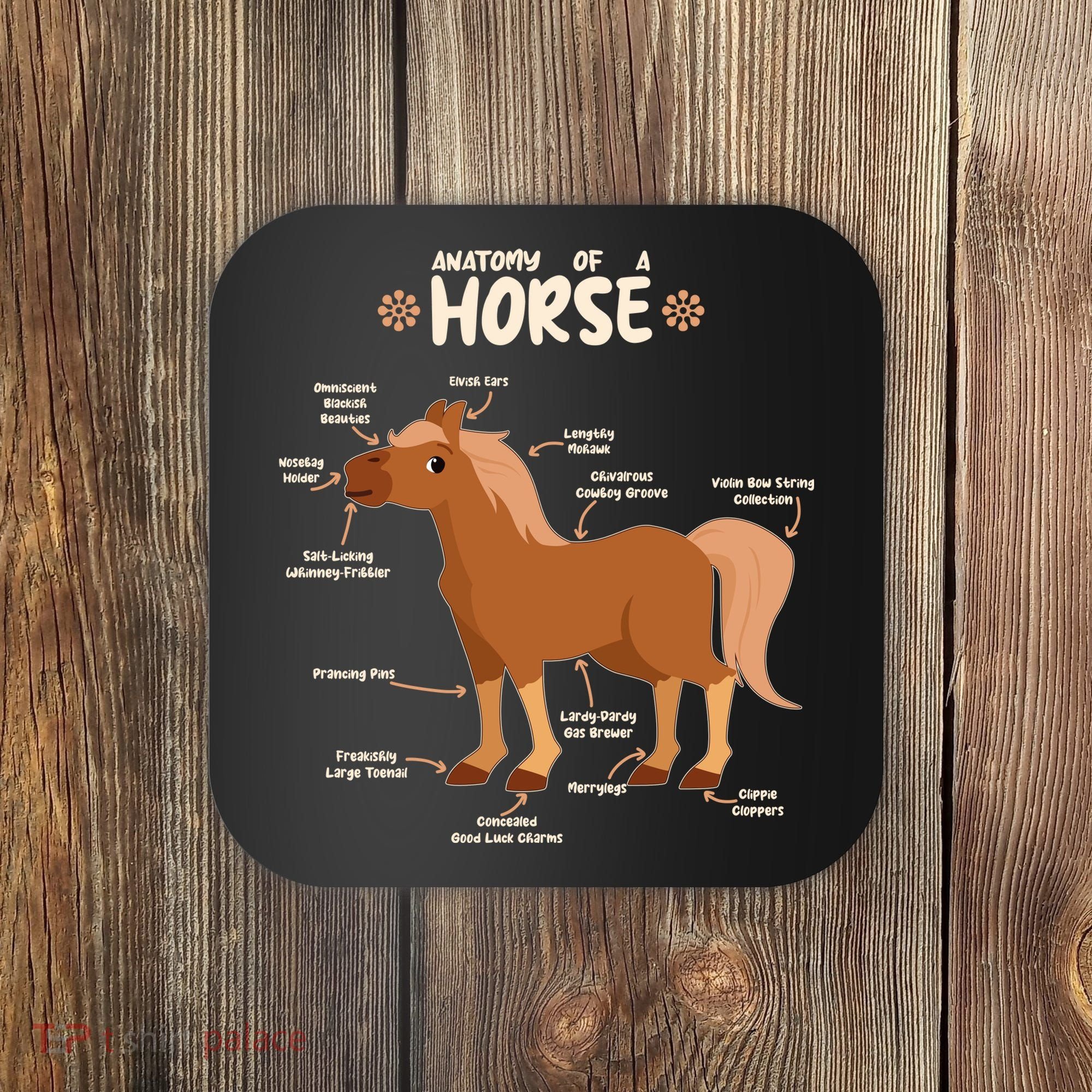 Cute Funny Anatomy Of A Horse Diagram Coaster