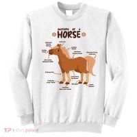 Cute Funny Anatomy Of A Horse Diagram Sweatshirt thumb 0